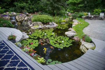 small fish pond design ideas