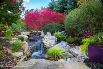 Backyard Waterfall