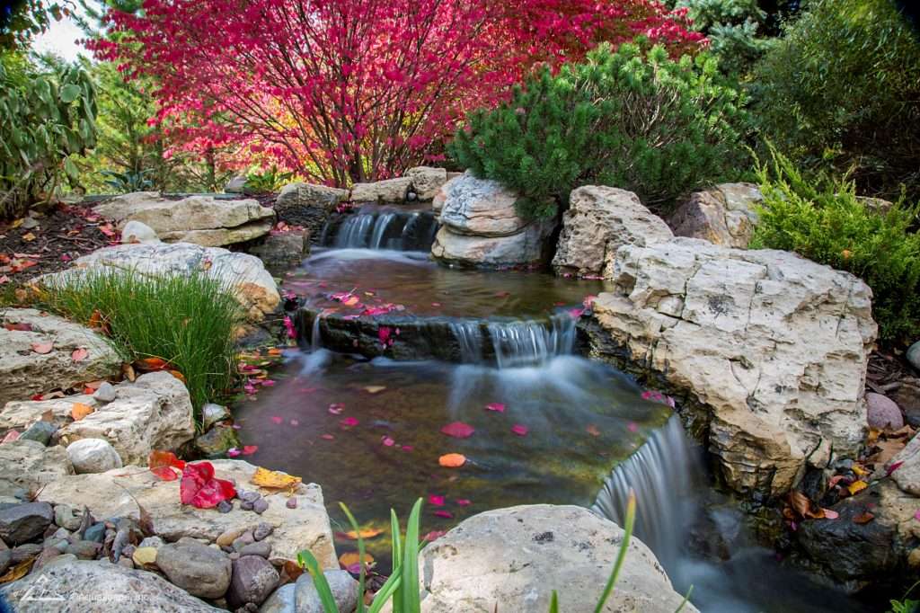 Fall season showing a waterfall
