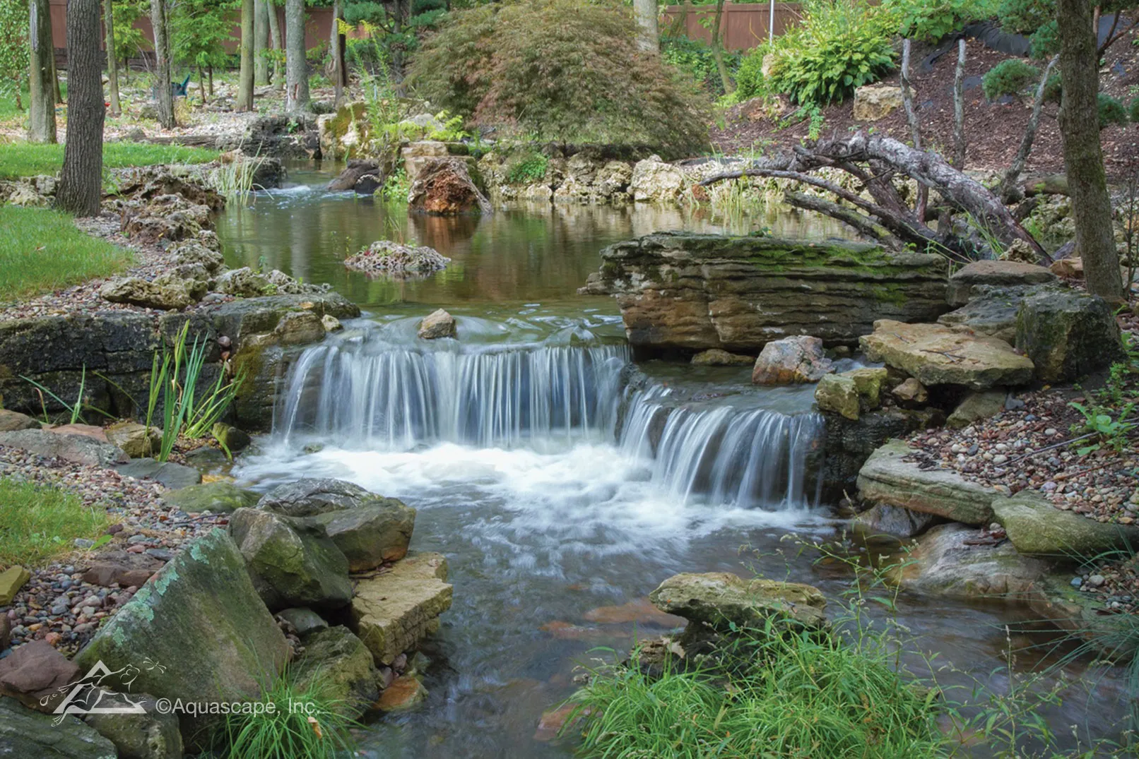 Million Dollar Backyard Aquascape Construction