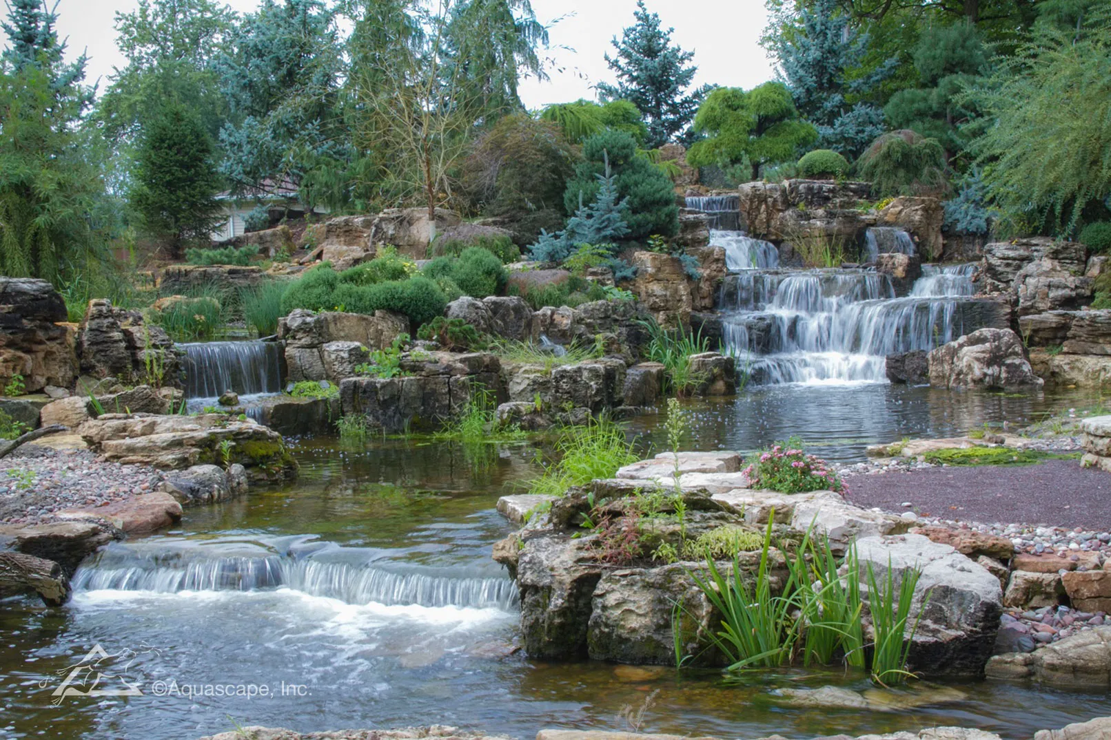 An Incredible Yard with a Wine Fountain Built by @stonebridgepond  #waterfall #pond #koipond #backyard