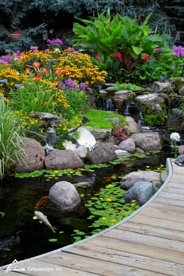 Koi Garden Pond