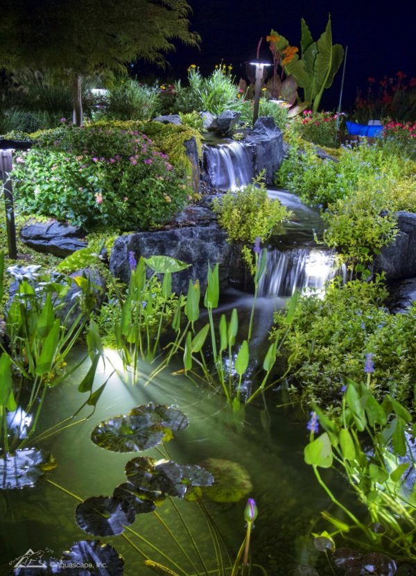 Pond and waterfall lights