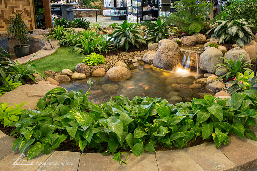  Water  Gardening Store and Inspiration Center Aquascape 