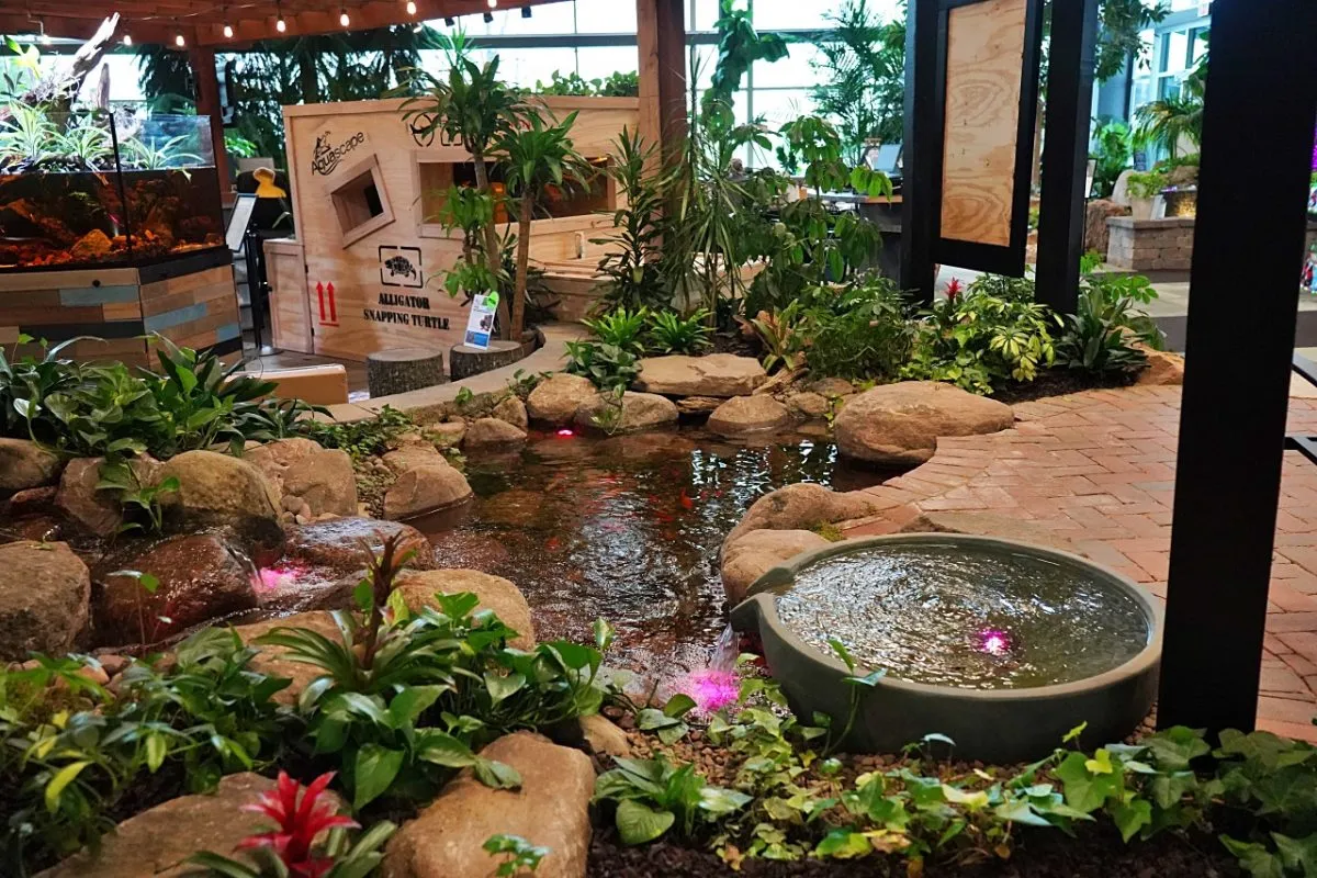 The small pond in our Water Gardening Store is perfect for small fish and aquatic plants