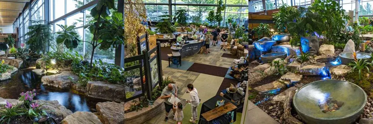 Aquascape Pond Supplies and Pond Ideas | Aqualand