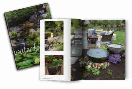 Water Feature Dream Book