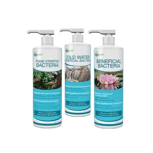 Beneficial bacteria for ponds