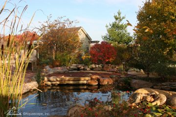 Koi pond in Fall