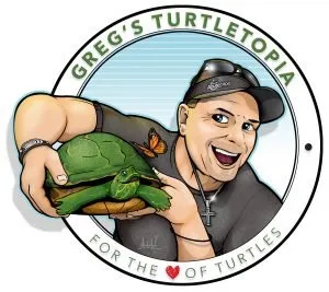 gregs turtletopia graphic final