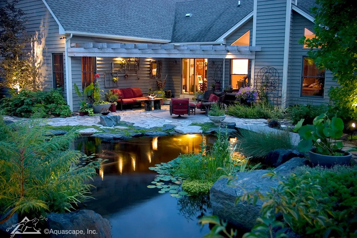 Pond lights at night