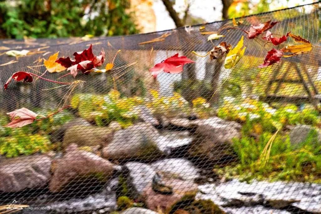fall water feature maintenance - pond netting