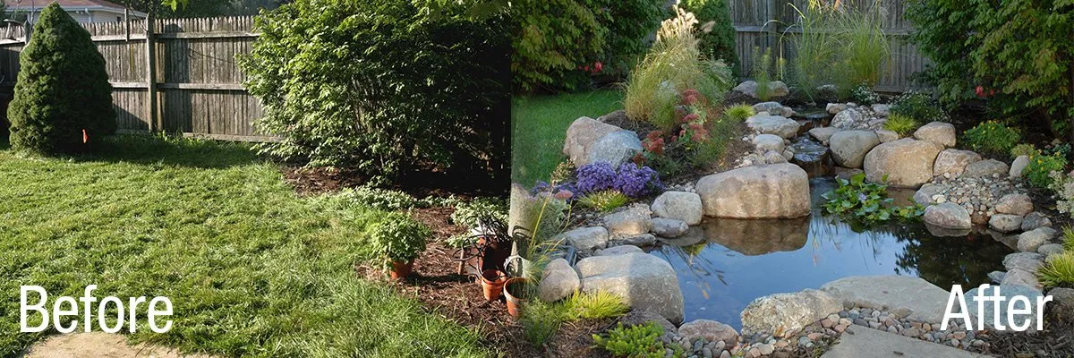 Backyard pond before and after