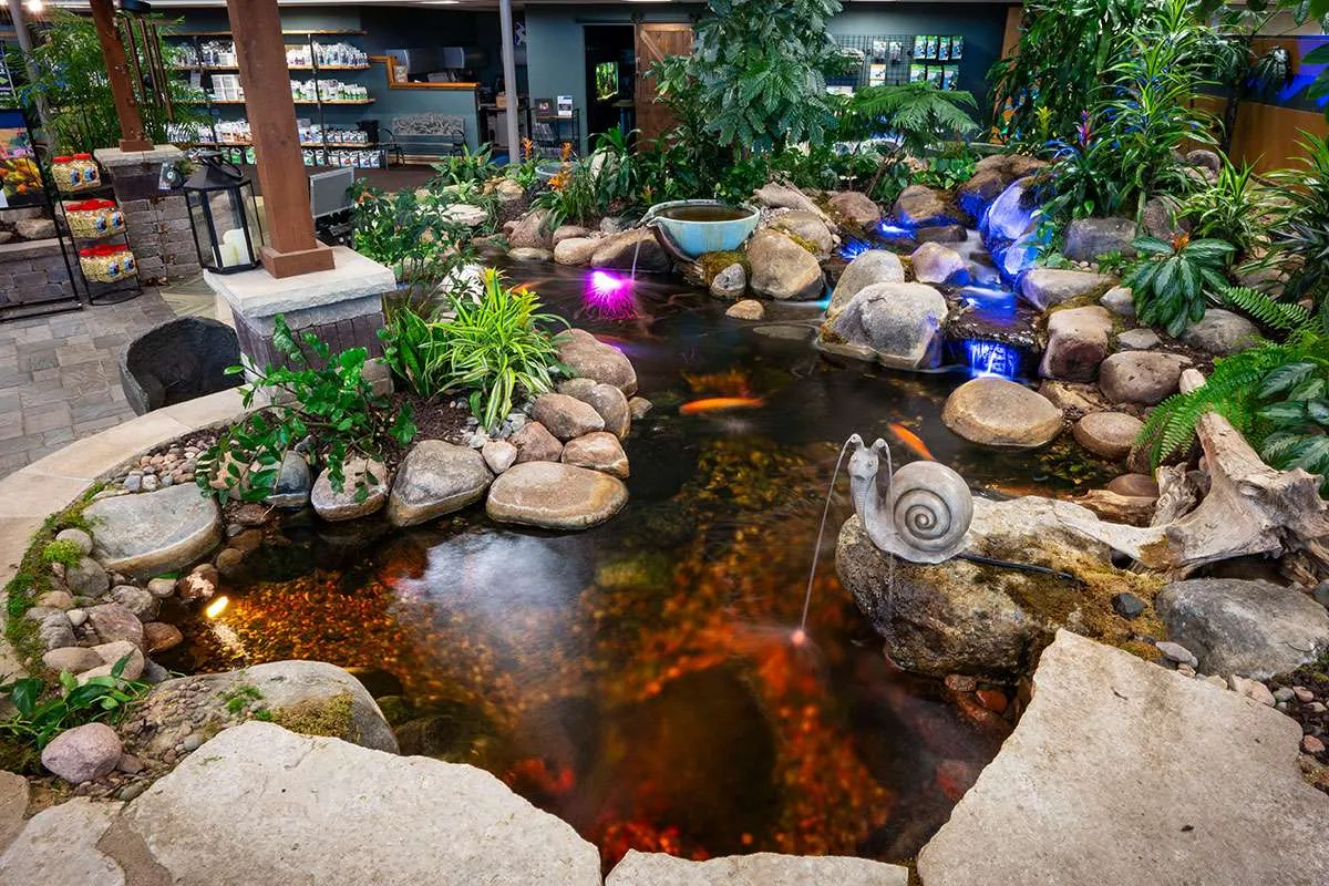 Aquascape Pond Supplies and Pond Ideas | Aqualand, image size:1200x800