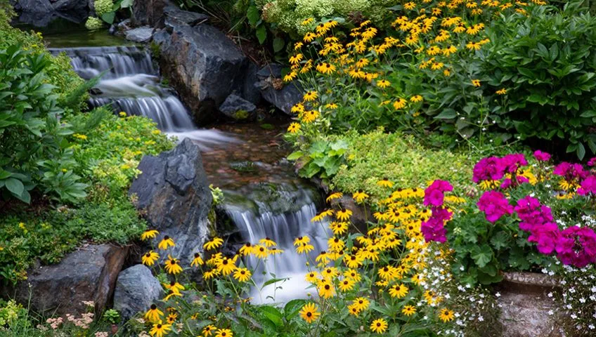 Waterfall with pond plants and wildflowers