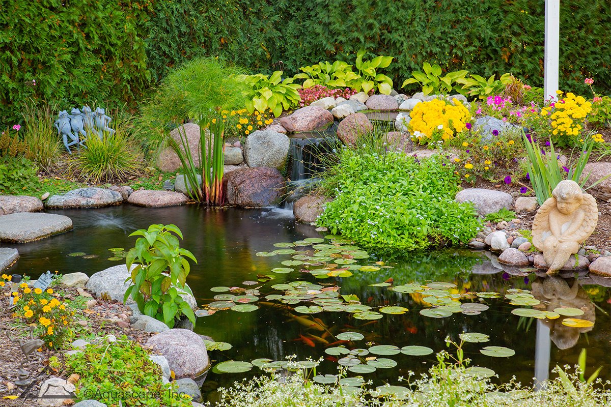 Spring Seasonal Products and Tips Koi Ponds and Water Features