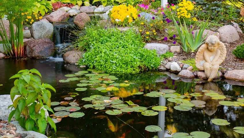 Hoffman Estates koi pond and waterfall